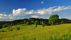 Krajina v Kysuckých Beskydoch