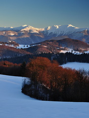 Z kysuckých vrchov II