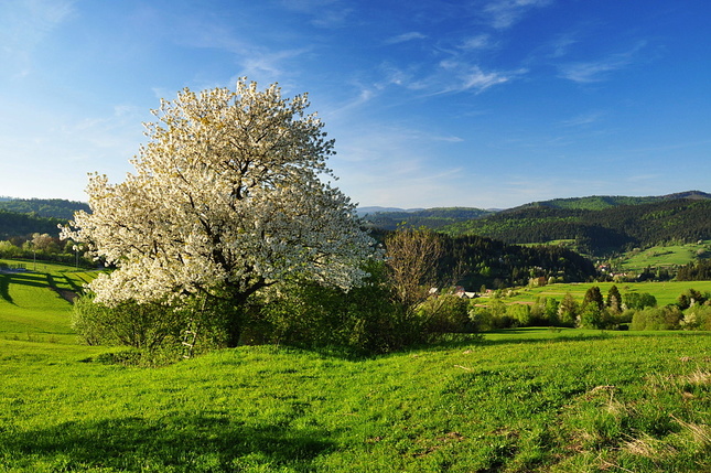 Jar nad Lutišami III