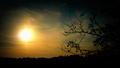 sunny
