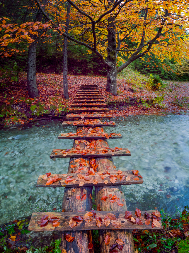 Jesenný mostík