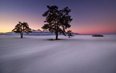 Pod bielou škrupinou