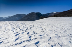 Zafúkaná krajina