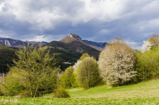 Jarný hrad
