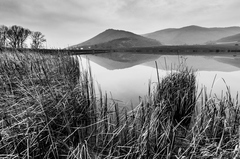 Rybník BW