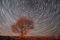 Startrails
