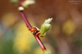 ...spring time...
