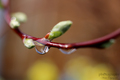 ...drop...