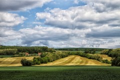 zlato