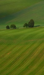Lajny