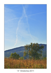 "A" Strelenka 2011