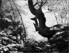 Volám o pomoc - spomienka