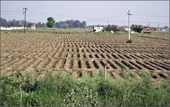 Indianska roľa