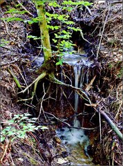 Voda čo ma drží nad vodou