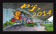 P.F. 2014