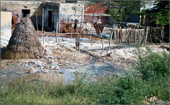 sedliacký dvor III.