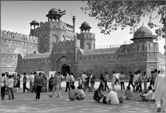 Siesta pri  Red Forde 2