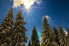 sunny sunday