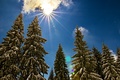 sunny sunday