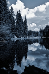 pleso