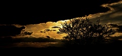 twilight