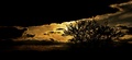 twilight
