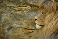 KING