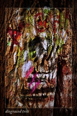 disgraced tree