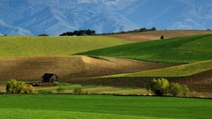 Fatra