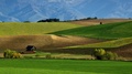 Fatra