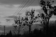 Temná minulosť