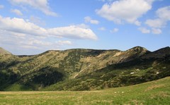 Chleb