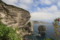 Bonifacio