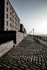 Albert dock