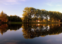 rybníková
