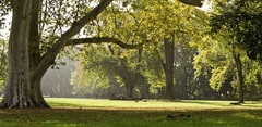 Veľký Park