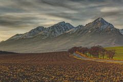 Tatry