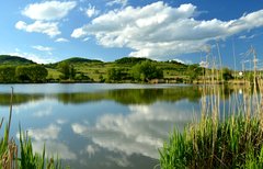 Pezinský rybník