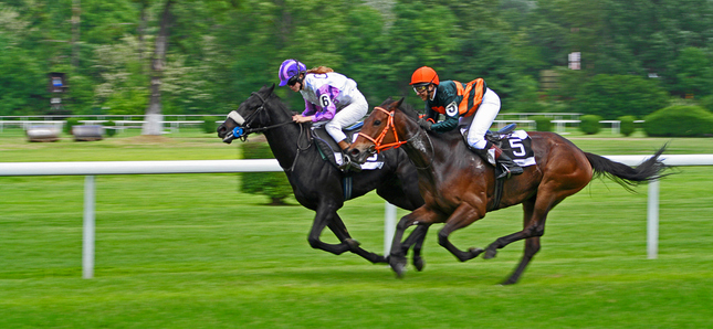 derby