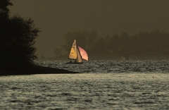 Lipt.mara 1