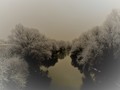 rieka Nitra pri lesoparku