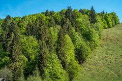 Úbočie
