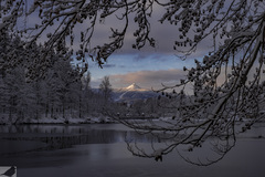 FUJI