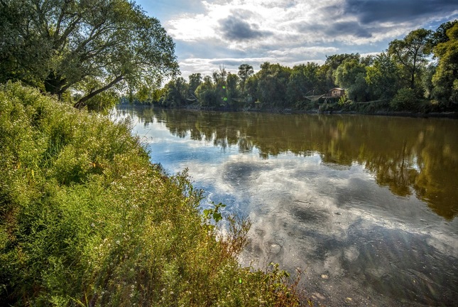 Zivot rieky Moravy