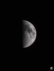 The Moon