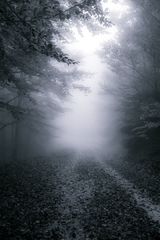 Way of kings B&W