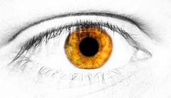 My eye