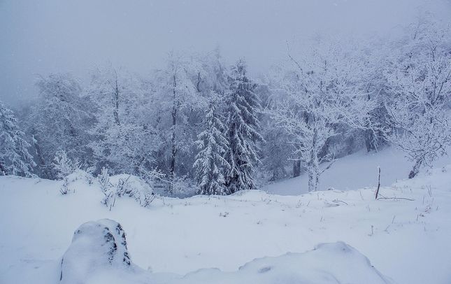 Zima na Drienku