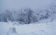 Zima na Drienku