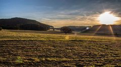 Alone on the Meadow